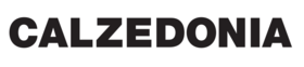 Logo Calzedonia
